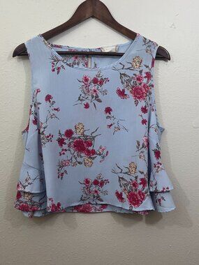 Altar'd State Sz L Sheer Baby Blue Floral Top